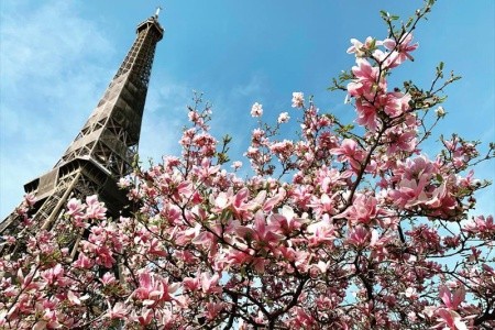 Rozkvetlá Paříž a královské Versailles - 8