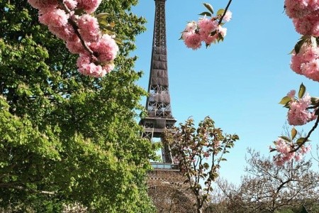 Rozkvetlá Paříž a královské Versailles - 9