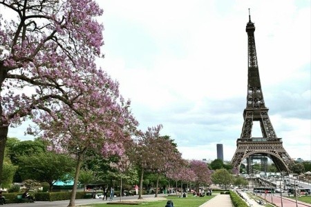 Rozkvetlá Paříž a královské Versailles - 10