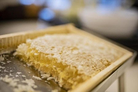 Aparthotel Legendär (Steindorf) - 76