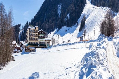 Harfenwirt (Niederau) - 52