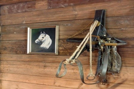 Harfenwirt (Niederau) - 74