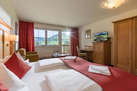 Harfenwirt (Niederau) - 84