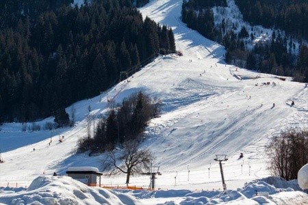 Harfenwirt (Niederau) - 89