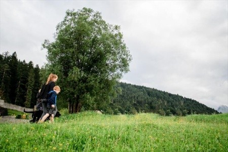 Vitalhotel Gosau - 46