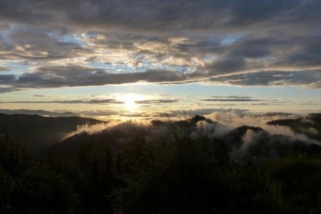 Biolandhaus Arche - 5