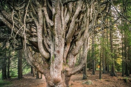 Biolandhaus Arche - 13