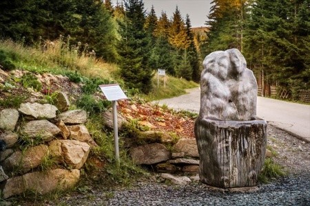 Biolandhaus Arche - 14