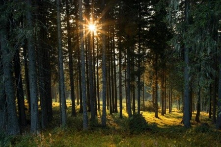 Biolandhaus Arche - 15