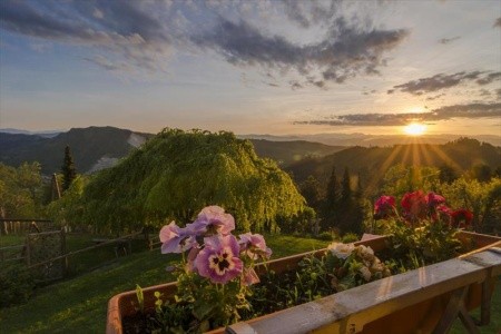 Biolandhaus Arche - 39