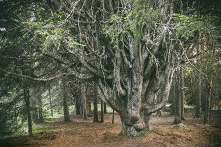 Biolandhaus Arche - 43