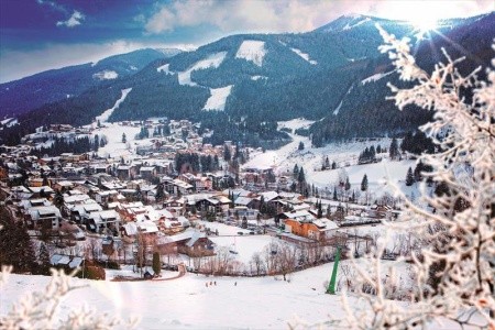 Ortners Eschenhof - 5