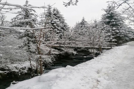 Kirchenwirt (Bad Kleinkirchheim) - 29