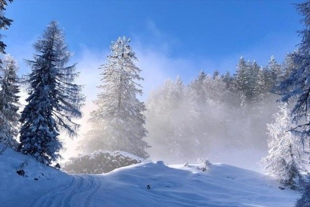 Landhotel Schütterbad (Unken) - 43