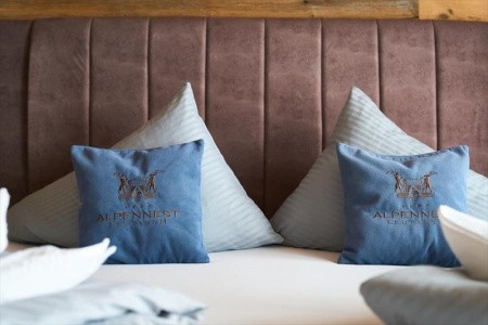 Alpennest (Leutasch) - 18