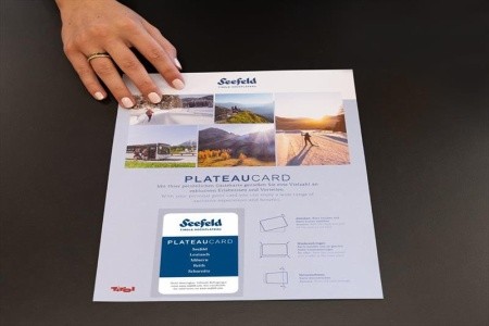 Alpennest (Leutasch) - 44