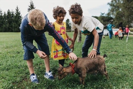 Naturel Hoteldorf Schönleiten - 85