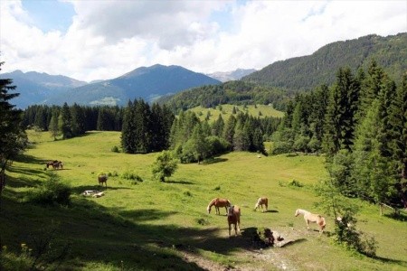 Optimamed Gesundheitsresort Weißbriach - 22