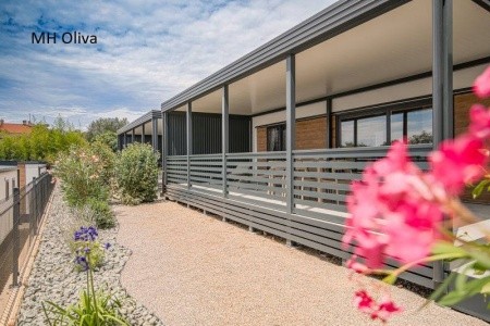 Camping Elements - 12