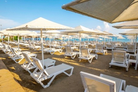 Aydinbey Gold Dreams - 3