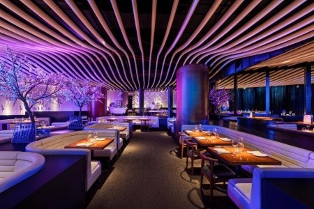 Rixos Premium Dubai - 12