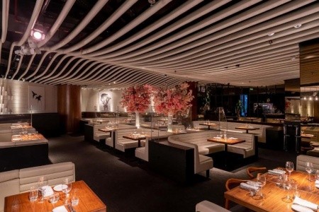 Rixos Premium Dubai - 16