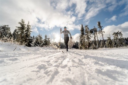 Ifa Schöneck Hotel & Ferienpark (Schöneck) - 14