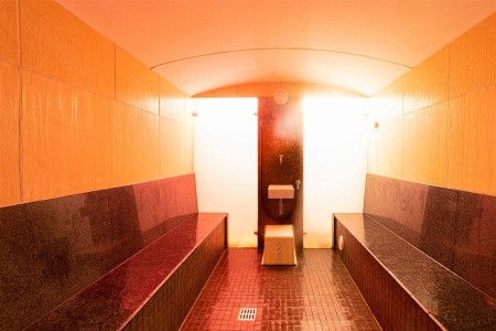 Ifa Schöneck Hotel & Ferienpark (Schöneck) - 33