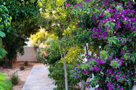 Okeanis Mystique South - 14