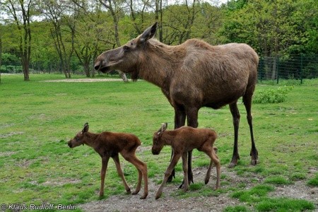 To nejlepší ze Švédska s návštěvou Kodaně - 6