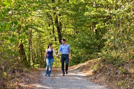 Wellnesshotel Allmer - 2