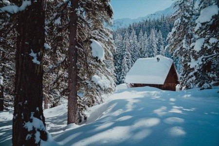 Kurhotel Österreichischer Hof - 10