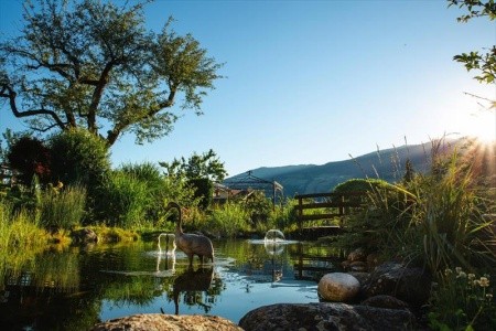 Aktivhotel Kohlerhof - 4