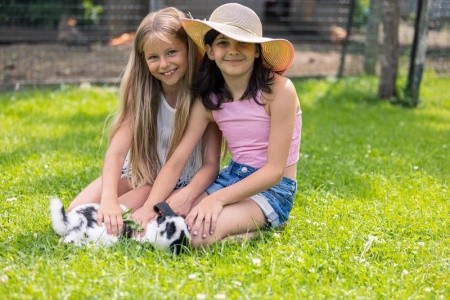 Aktivhotel Kohlerhof - 34