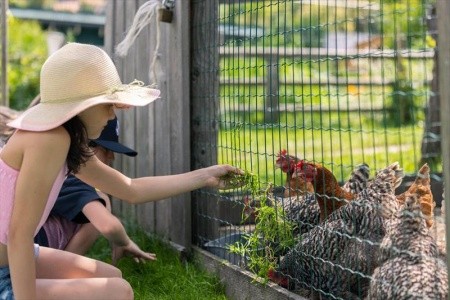 Aktivhotel Kohlerhof - 36