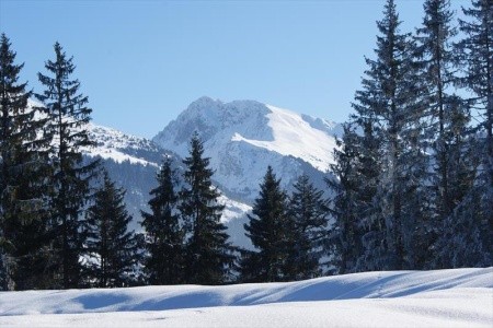 Gasthaus Alpenhof - 3
