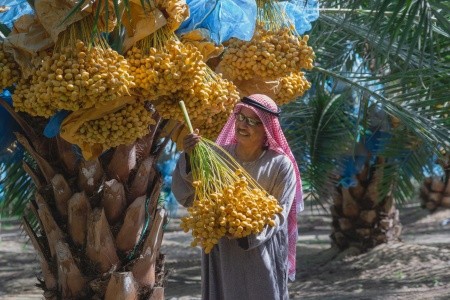 Oáza Síwa s pobytem u moře s odletem z Prahy - 6