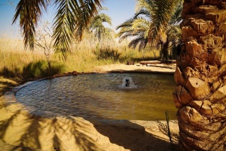 Oáza Síwa s pobytem u moře s odletem z Prahy - 15