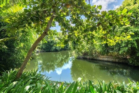 Yalong Bay Villas & Spa Resort - 7