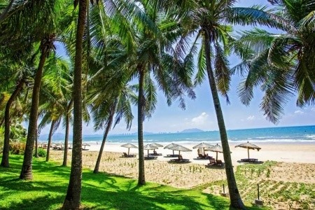 Palm Beach Resort & Spa - 5