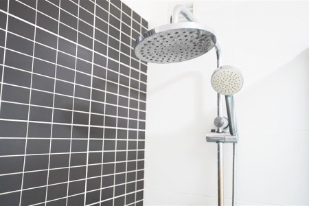 Coral Los Alisios - 28