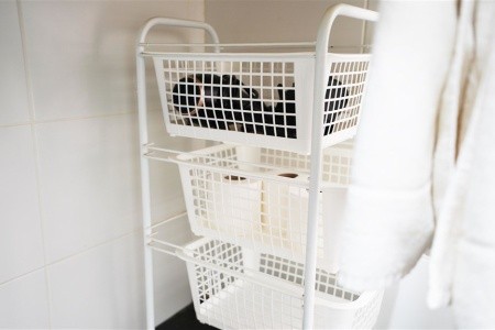 Coral Los Alisios - 31