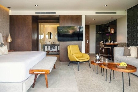 Residences At The Fives Oceanfront (Puerto Morelos) - 8