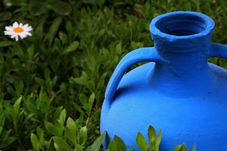 Apartmány Palmira - 4