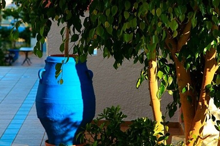 Apartmány Palmira - 11