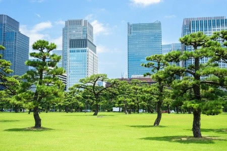 Zlatá cesta Japonskem – hory a posvátná místa - 14