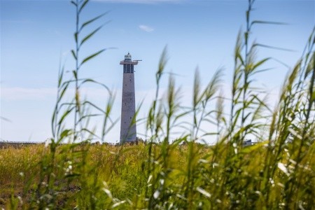 Ifa Altamarena By Lopesan Hotels - 51