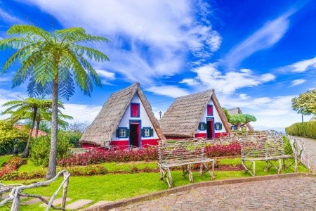 Madeira - turistika přes levády až k oceánu, odlet z Katovic - 12