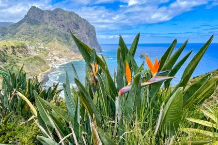 Madeira - turistika přes levády až k oceánu, odlet z Katovic - 15