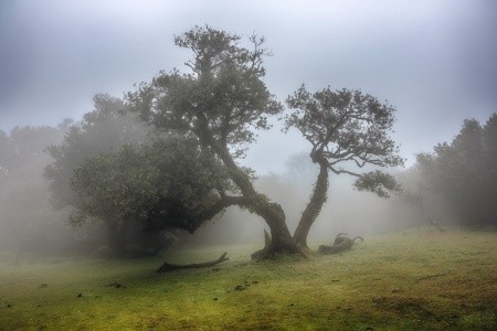 Madeira - turistika přes levády až k oceánu, odlet z Katovic - 41